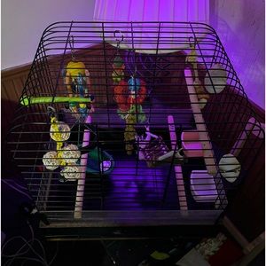 Bird cage with accessories and toys